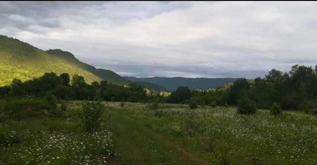 Gite De L'Herboriste Villa Sainte-Rose-du-Nord Exteriör bild