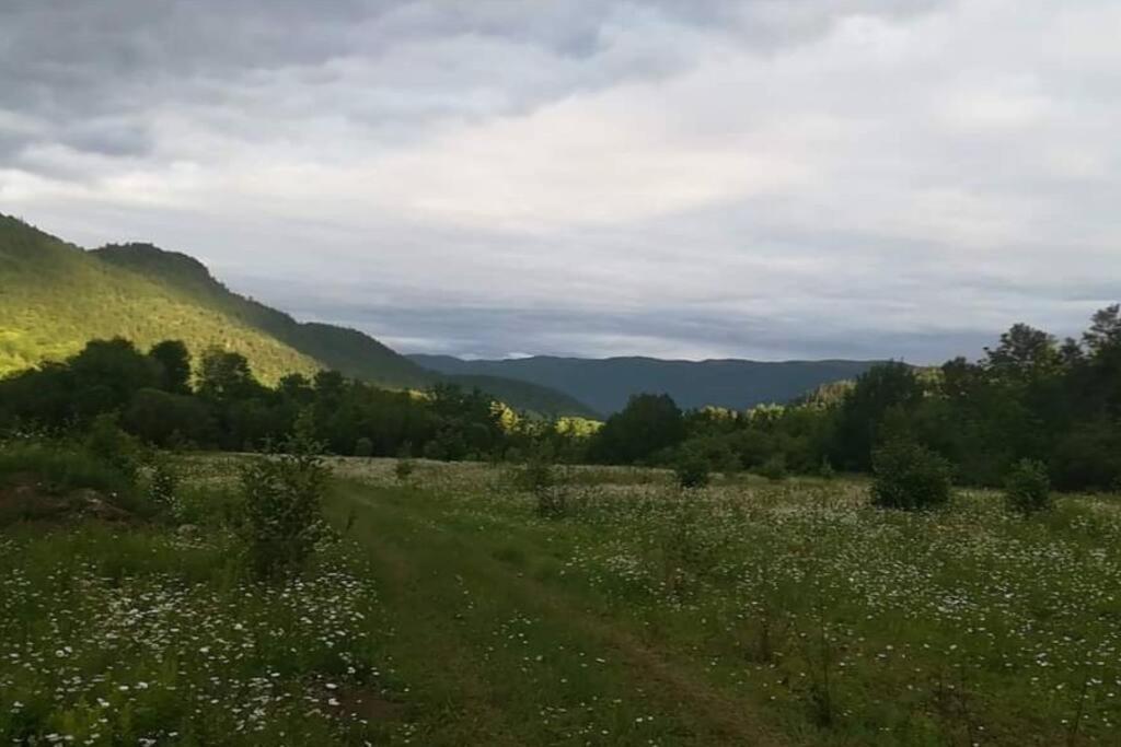 Gite De L'Herboriste Villa Sainte-Rose-du-Nord Exteriör bild