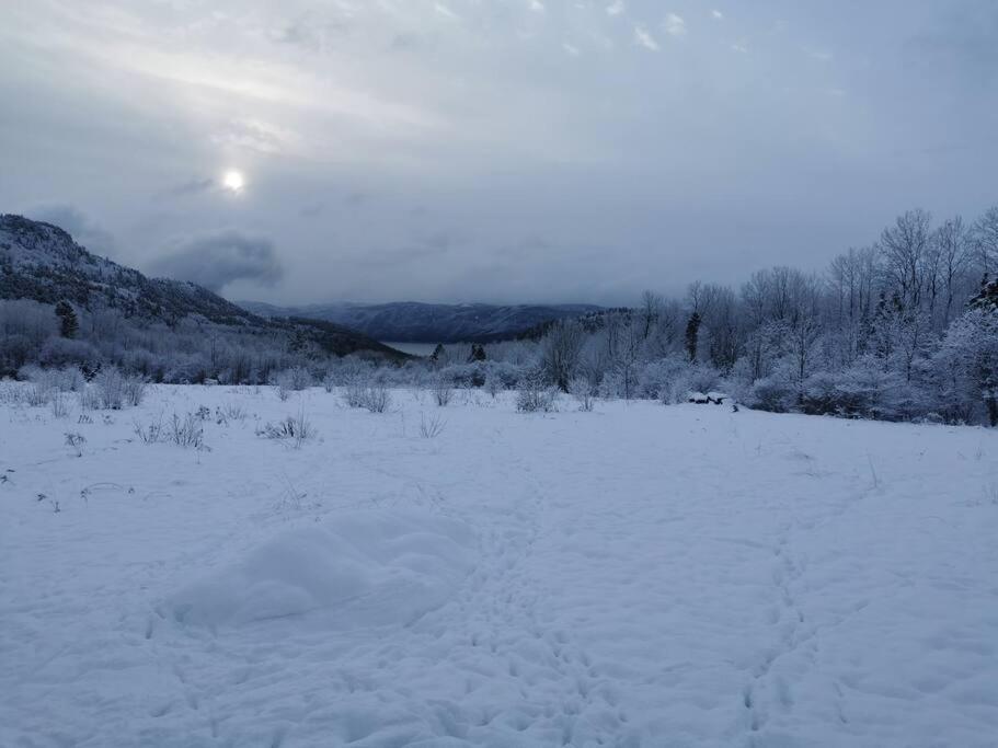 Gite De L'Herboriste Villa Sainte-Rose-du-Nord Exteriör bild